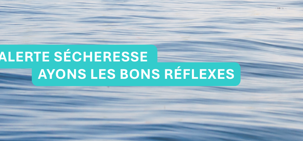 Alerte sécheresse : restrictions d’usage de l’eau